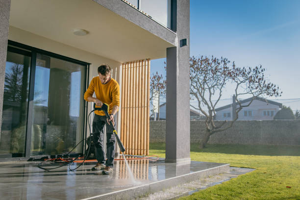 Best Sidewalk and Walkway Cleaning  in Argentine, MI
